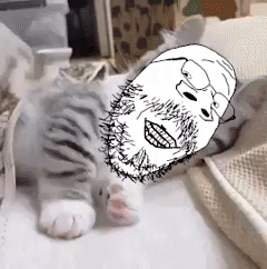 animal animated artist:soyia_agent baby cat cute ext=gif kitty variant:gapejak variant:impish_soyak_ears variant:markiplier_soyjak variant:soyak wholesome // 240x242 // 4.0MB