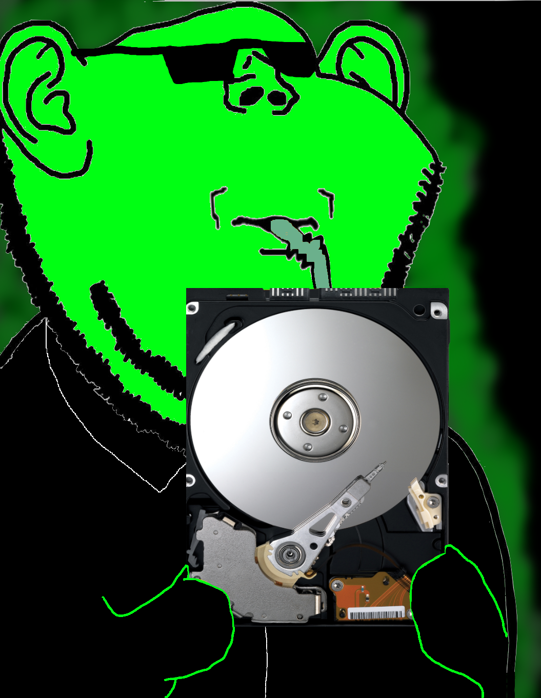 main image