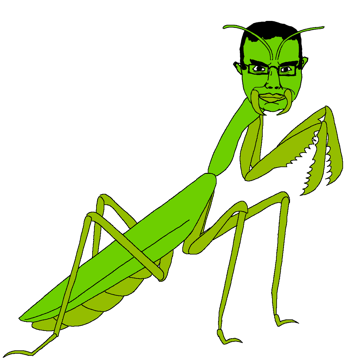 main image