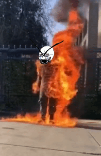 Aaron_Bushnell angry bloodshot_eyes burning crying death fire glasses israel large_eyebrows open_mouth real_life selfish_little_fuck soyjak stubble variant:soyak // 208x320 // 2.9MB