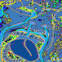 ack epilepsy hanging schizo seizure soyjak stubble tranny variant:bernd // 200x200 // 133.7KB