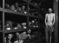 bald balding concentration_camp holocaust judaism monochrome nas:gigachad skinny starving // 1420x1040 // 146.5KB bald balding concentration_camp holocaust judaism monochrome nas:gigachad skinny starving // 1420x1040 // 146.5KB