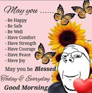 artist:hellcat butterfly flower glasses good_morning heart plant smile soyjak stubble subvariant:wholesome_soyjak sunflower text variant:gapejak wholesome // 618x625 // 624.4KB