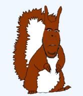animal arm biting_lip ear full_body glasses hand leg mustache red_squirrel soyjak squirrel subvariant:feralsquirrel variant:cobson // 775x902 // 105.6KB