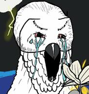 album_cover animal beak bird bloodshot_eyes crying flower lightning music open_mouth plant songs:_ohia soyjak variant:soyak // 790x830 // 81.2KB