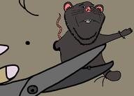 animal animal_abuse buck_teeth cheddar_c_cheese concerned ear frown gore grey_skin mouse nsfw penis pink_skin rat rodent scissors snout soyjak stubble tail variant:impish_soyak_ears whisker // 1759x1255 // 108.1KB