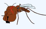 black_skin bug long_nose mosquito spade subvariant:mexiaryan transparent_background warrior-z_(user) // 600x373 // 27.1KB