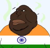 flies india mutt stinky // 888x849 // 67.0KB