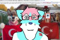 TrFurs a10_eyes closed_mouth ear flag flag:transgender_pride_flag flag:turkiye fur furfag furry glasses hair neutral soyjak subvariant:furplier tranny transparent_background turkiye tvrkARYAN_goonfuel tvrkaryan variant:markiplier_soyjak // 1200x800 // 733.2KB
