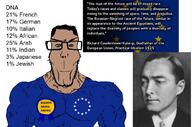 dna dna_test europe european_union france japan kalergi kalergi_plan racemixing subvariant:euroaryan // 1061x702 // 165.5KB