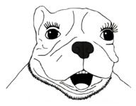 animal dog eyelashes open_mouth soyjak stubble variant:unknown // 875x684 // 181.1KB