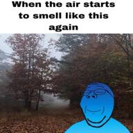 autumn calm fall glasses outside stubble subvariant:wholesome_soyjak text variant:gapejak // 1024x1024 // 1.1MB