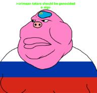 closed_mouth crimean_tatar fat flag:crimean_tatar flag:russia hohol meximutt obese pig rent_free russia swine variant:meximutt vatnigger zigger // 888x849 // 39.3KB