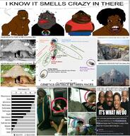 angry animal ape architecture black_lives_matter black_skin bone buildings colonialism communism facts full_body genetics glasses gorilla india indian irl monkey nigger open_mouth photograph rainbow_flag red_lips small_brain soyjak speech_bubble stubble subvariant:feralnigger temple text truth_nuke tyrone variant:feraljak variant:meximutt wordswordswords yellow_sclera yellow_teeth // 1112x1158 // 292.4KB