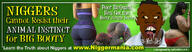 angry ass banner big_booty dark_skin ear female hair huge_ass meta:tagme nigger niggermania open_mouth retard saliva soyjak steam subvariant:feralnigger teeth variant:feraljak // 791x215 // 85.7KB