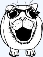 dog final_form gem glasses happy nigger open_mouth polish variant:pugjak // 709x955 // 27.9KB