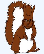 animal brown_hair series:animaljaks series:joke_soyjaks squirrel squirreljak variant:diddyjak // 680x830 // 17.8KB