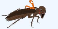 angry animal_abuse beard blood bug cockroach crying ear ear_removal full_body glasses gore leg mouth_open open_mouth red_sclera roach scissors soyjak stretched_chin stretched_mouth stubble variant:soyak // 1800x904 // 36.9KB