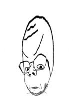 angry big_brain distorted glasses soyjak stubble subvariant:rand variant:gapejak // 600x782 // 65.5KB