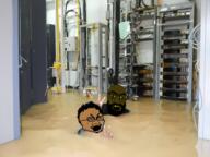 2soyjaks angry arab beard bloodshot_eyes brown_eyes brown_skin computer crying flood flood_detected glasses hair hispanic large_eyebrows latino mexico open_mouth server soyjak stubble subvariant:tetojak thick_eyebrows variant:cryboy_soyjak variant:feraljak water yellow_teeth // 960x720 // 1.2MB