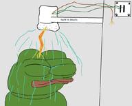 amphibian bath brapzil brazil eletric eletrical frog lorenzetti nas:pepe pepe_the_frog subnas:apu water // 1024x819 // 67.8KB