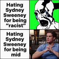 chad looksmax.org racism streamer sydney_sweeney variant:soyak // 1080x1080, 17.5s // 2.4MB