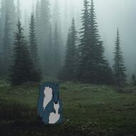 calm forest squirrel variant:markiplier_soyjak // 1080x1080 // 380.0KB