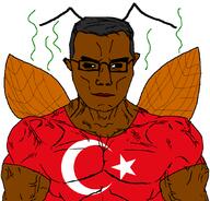 antenna buff bug chud closed_mouth cockroach country ear flag flag:turkiye glasses insects roach smile soyjak stink_lines stinky subvariant:chudjak_front subvariant:muscular_chud turk turkiye turkroach variant:chudjak // 1059x1013 // 87.0KB