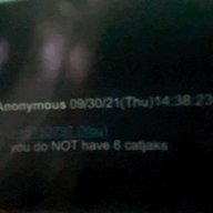 4chan animal animated cat ear glasses holding_object irl open_mouth paper qa_(4chan) screenshot soyjak stubble variant:markiplier_soyjak // 640x359 // 3.8MB