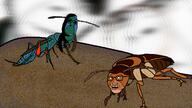 4soyjaks biting_lip bug cockroach nature soyjak subvariant:hornyson subvariant:soyak_(concerned) teeth variant:cobson variant:soyak wasp // 1280x720 // 630.5KB
