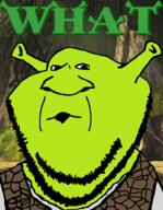 animated closed_mouth clothes ext=gif green_skin looking_at_you ogre ogre_ears open_mouth shrek smile talking text variant:impish_soyak_ears // 601x776 // 3.3MB
