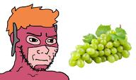 concerned grapes green_grapes irritated sour_Grapes subvariant:soyak_(irritated) the_flash variant:soyak wally_west // 2212x1316 // 734.1KB