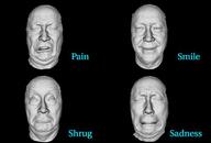 subvariant:shrugsid variant:sidjak // 756x510 // 272.4KB