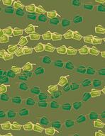 camouflage variant:feraljak woodland // 1969x2559 // 690.4KB