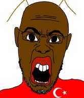 angry beard brown_skin country ear flag:turkiye glasses islam looking_at_you meta:tagme nigger open_mouth turkroach variant:halojak // 620x720 // 127.8KB