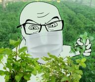 angry arm facemask glasses hand herb holding_object irl_background mint plant soyjak stubble variant:feraljak // 1463x1272 // 2.5MB