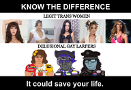 dap_chhuon(user) faggot gay know_the_difference odessanbvll(namefag) photo soyton_(user) subvariant:chuzjak subvariant:muscular_chud tranny transgender_flag troon variant:chudjak variant:kuzjak women // 1709x1177 // 1.3MB