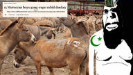 africa ak47 animal beard biting_lip black_eyes donkey evidence gang glasses goat hole irl_background islam islamic livestock morocco mouth_closed nipple north_africa nose pit quran rape source star_and_crescent stubble subvariant:hornyson variant:cobson white_shirt // 1800x1013 // 594.6KB