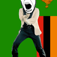 angry animated country dance eagle flag flag:zambia full_body gangnam_style glasses irl open_mouth soyjak stubble variant:cobson zambia // 300x460 // 500.6KB