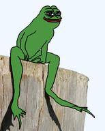 amphibian animal frog irl irl_background looking_at_you meta:not_oc nas:pepe pepe pepe_the_frog sit sitting smile transparent_background wood // 432x540 // 197.0KB amphibian animal frog irl irl_background looking_at_you meta:not_oc nas:pepe pepe pepe_the_frog sit sitting smile transparent_background wood // 432x540 // 197.0KB