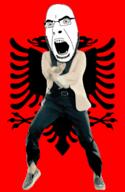 albania angry animal animated bird country dance flag flag:albania full_body gangnam_style glasses irl meta:tagme open_mouth reichsadler soyjak stubble variant:cobson // 300x460 // 509.1KB
