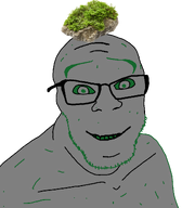 glasses grass green meta:op_is_a_gringo_looking_for_trouble_for_adding_less_than_5_tags moss_(user) mossy smile soyjak stone stubble variant:feraljak // 1025x1168 // 196.1KB