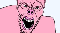 angry animal ear glasses open_mouth pig pink_skin soyjak stubble variant:angry_soyjak // 1600x900 // 5.5MB