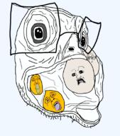 'o bird chicken chicken_factory_('o) clenched_teeth disgustingsting eating egg glasses head open_mouth stubble subvariant:doctos subvariant:neutralplier variant:bernd variant:markiplier_soyjak variant:soyak variant:unknown // 725x825 // 216.4KB