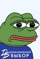 amphibian bald closed_mouth clothes democratic_choice europe european frog green_skin lips looking_at_you nas nas:pepe pepe pepe_the_frog politics russia transparent_background tshirt // 1344x1973 // 100.0KB