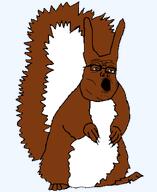 animal brown_hair series:animaljaks squirrel squirreljak variant:tony_soprano_soyjak // 680x830 // 17.1KB