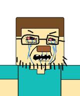 minecraft steve_(minecraft) // 205x246 // 15.5KB