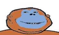 animal bleppsama blue ear hair monkey orange smile soyjak stubble subvariant:massjak subvariant:wholesome_soyjak variant:gapejak // 486x292 // 41.1KB