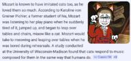 furnigger furry krautnigger mozart musician text variant:chudjak wolfgang_amadeus_mozart // 1093x505 // 266.7KB