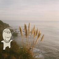 closed_eyes irl_background nature sea variant:gapejak // 959x960 // 401.7KB